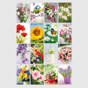 SKOR Glückwunschkarten " Blanco " sortiert 1St