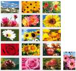 SKOR Glückwunschkarten " Blanco " sortiert...