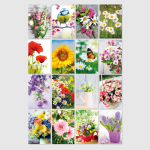 SKOR Glückwunschkarten " Blanco " sortiert...