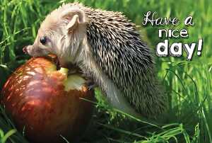 3D Foto Klappkarte Motiv 32 4010070286187