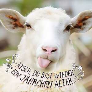 3D Klappkarte Motiv 43 4010070244828