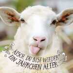 3D Klappkarte Motiv 43 4010070244828