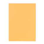 Falken Aktendeckel - A4, chamois, Manilakarton 250 g/qm