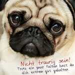 3D Klappkarte Motiv 46 4010070244859