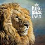 3D Klappkarte Motiv 22 4010070244613