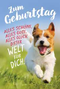 3D Foto Klappkarte Motiv 29 4010070286156