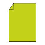 Briefbogen A4 80g 10ST hgrün COLORETTI 220701522