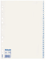 LEITZ Plastikregister 1-31 A4 weiß Economy