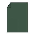 Briefbogen A4 80g 10ST forest COLORETTI 220701571