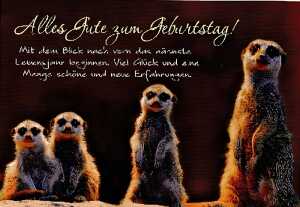 Cartolini Klappkarte Motiv 37 4010070221294