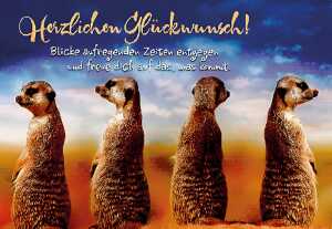 Cartolini Klappkarte Motiv 34 4010070221263