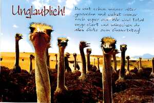 Cartolini Klappkarte Motiv 28 4010070221201