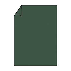 Briefbogen A4 165g 10ST forest COLORETTI 220726571