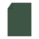 Briefbogen A4 165g 10ST forest COLORETTI 220726571