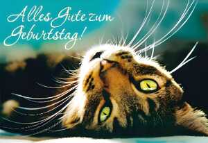 Cartolini Klappkarte Motiv 25 4010070221171