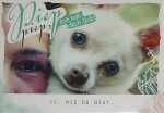 Minikarte Klappkarte Motiv 6, "Piep Piep" Hund