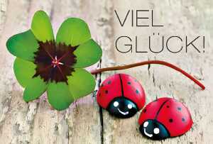 Cartolini Medi Klappkarte Motiv 12