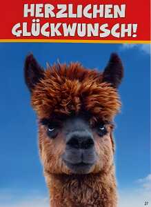 Glückwunschkarte Tiere Motiv 6028-A-27