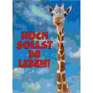 Glückwunschkarte Tiere Motiv 6028-A-36