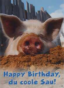 Glückwunschkarte Tiere Motiv 6028-A-29