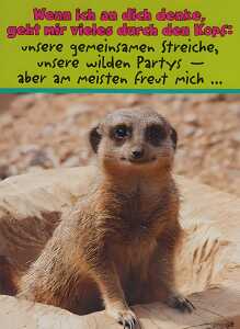 Glückwunschkarte Tiere Motiv 6028-A-28