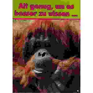 Glückwunschkarte Tiere Motiv 6028-A-14