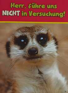 Glückwunschkarte Tiere Motiv 6028-A-25