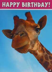 Glückwunschkarte Tiere Motiv 6028-A-30