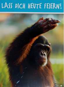 Glückwunschkarte Tiere Motiv 6028-A-40