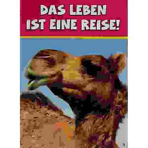 Glückwunschkarte Tiere Motiv 6028-A-39