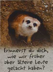 Glückwunschkarte Tiere Motiv 6028-A-37