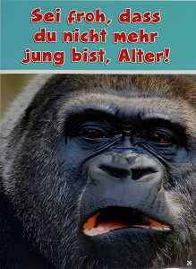 Glückwunschkarte Tiere Motiv 6028-A-26