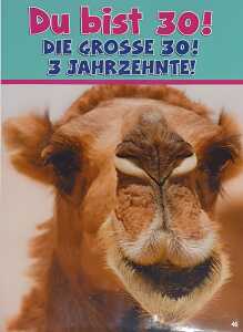 Glückwunschkarte Tiere Motiv 6028-A-46