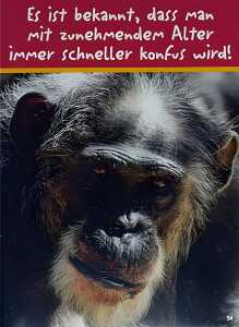 Glückwunschkarte Tiere Motiv 6028-A-54