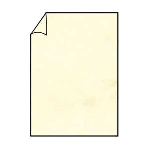 Briefbogen A4 80g 10ST chamois COLORETTI 220701506