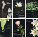 Glückwunschkarten 100er Trauer 6fach sortiert...