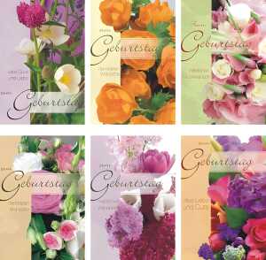 Glückwunschkarten 100er Geburtstag 6fach sortiert 4033683555020