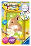 Malen nach Zahlen Bild 85x120mm Häschen Flecki -...
