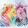 Diamond Dotz Regenbogen Zebras - 40x40cm - ab 8 Jahren