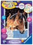 Malen nach Zahlen Bild 180x240mm Pferd Katze