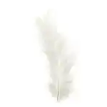 Marabufedern weiss ca. 15 Stück