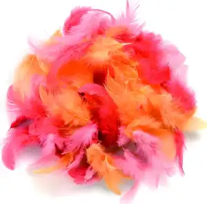 GLOREX Deco-Federn rot sortiert 10 g
