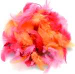 GLOREX Deco-Federn rot sortiert 10 g