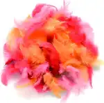 GLOREX Deco-Federn rot sortiert 10 g