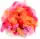 GLOREX Deco-Federn rot sortiert 10 g