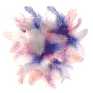 GLOREX Deco-Federn 10g Pastell-Mix