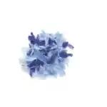 Deco-Federn blau sortiert 10 g