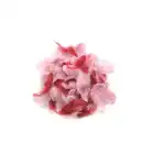 Deco-Federn rosa sortiert 10 g
