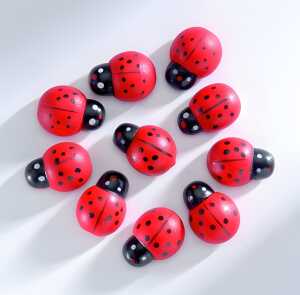 Holzstreut. Marienkäfer 10Stück klein ca.2x1,4 cm