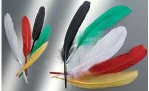 Indianerfeder 16cm ca. 15 Stück mix